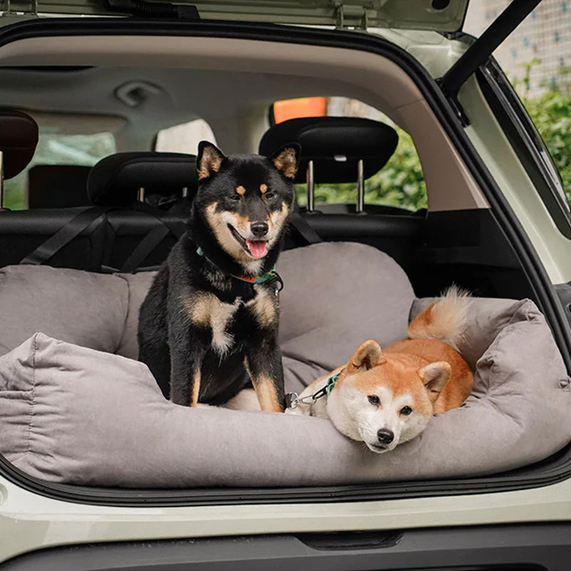 Reisbank voor Honden — Comfort en Veiligheid in de Auto