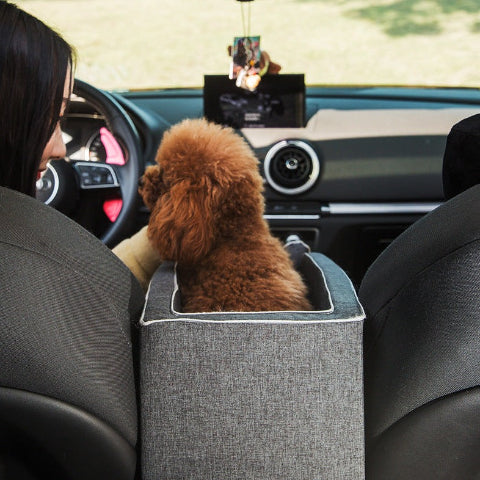 Transportkurv for hund – Komfort og stabilitet i bilen