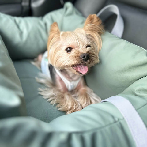 犬用車のクッション - 旅行中の保護と柔らかさ 