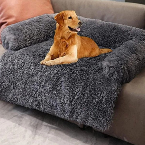 Multifunktionel Hundesofa — Komfort i Bil 