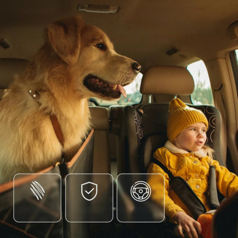 Hoes Voor Autozetel Voor Hond — Comfort & Veiligheid In Het Dagelijks Leven 