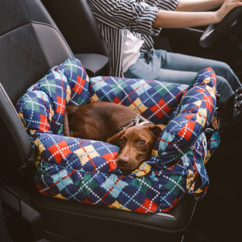 Portable Dog Basket — Comfort At Home And In The Car 