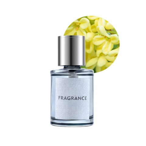 Aromatisk Diffusor För Bil – Doft Och Stil 